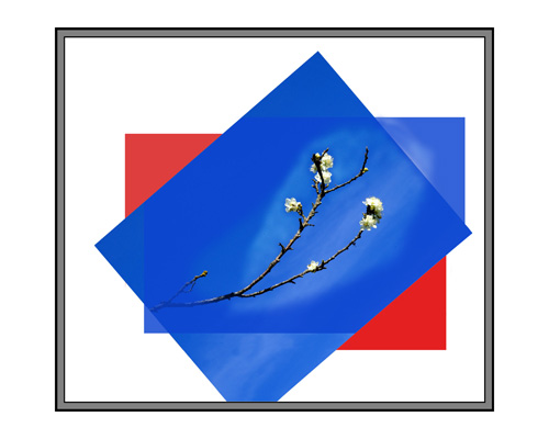 Essay on Pear Blossoms