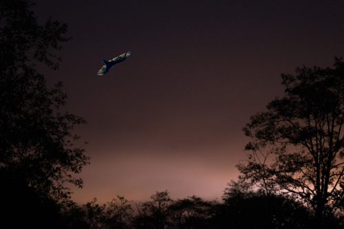 Night Flight