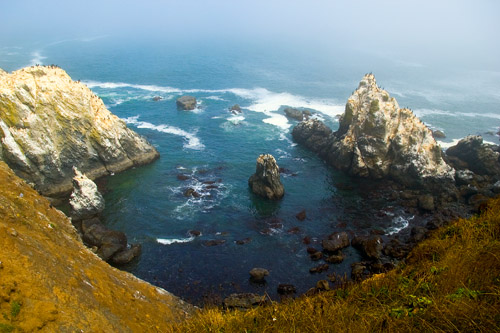 Yaquina Head