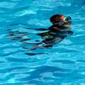 underwater