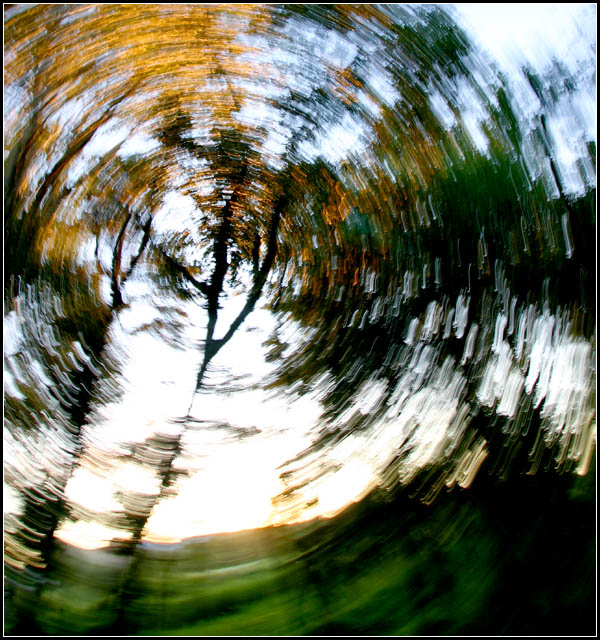 round 'n' round