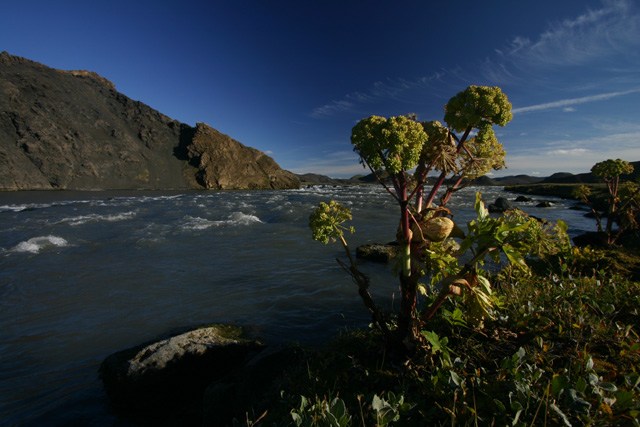 by the river - unedited
