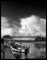 Rutland-Water_0004.jpg