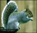 Eating-me-nuts.jpg