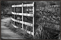 just-a-fence.jpg