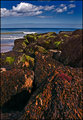 Blakeney-rocks.jpg