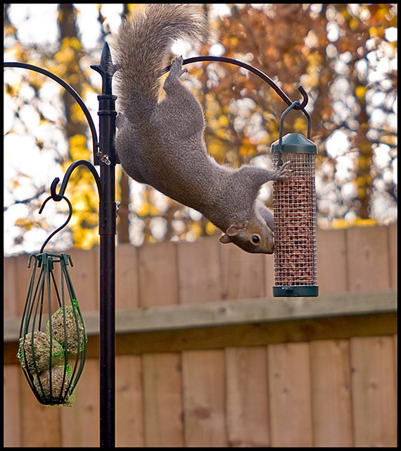 Balancing-Act.jpg
