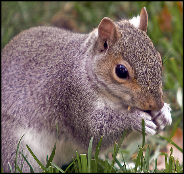 Eating-leave-me-alone.jpg