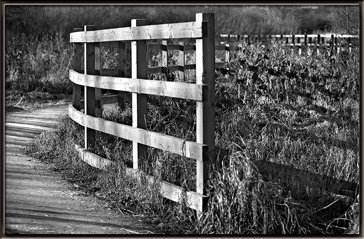 just-a-fence.jpg