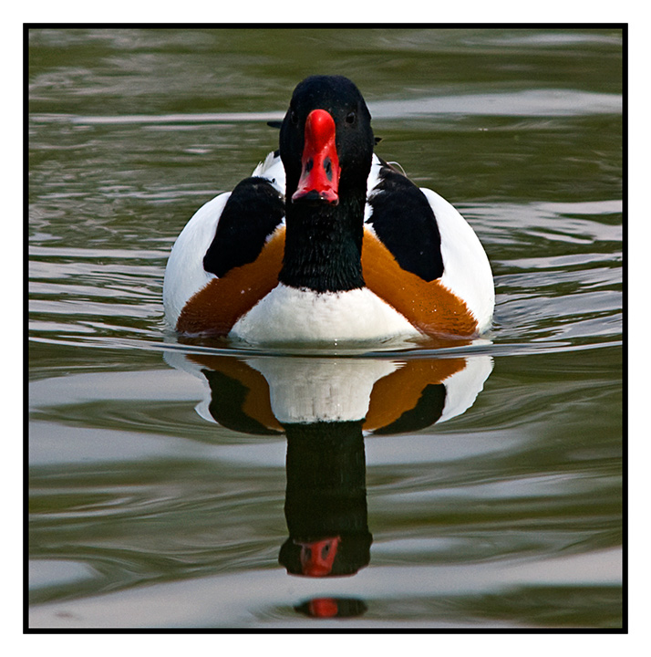 reflecting.jpg