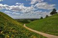 Castle Hills in Kernave