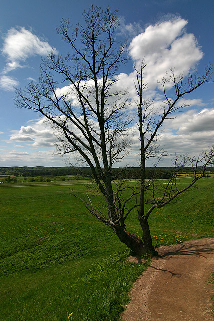 Castle Hills in Kernave