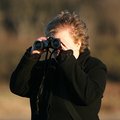 The Birdwatcher