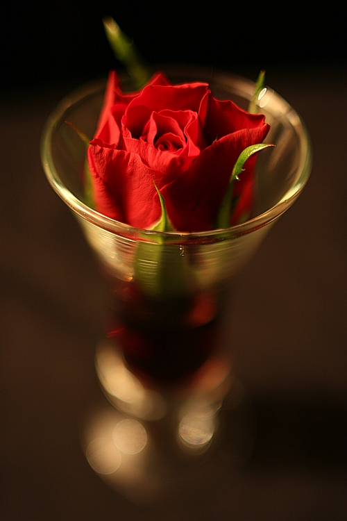 Rose Port