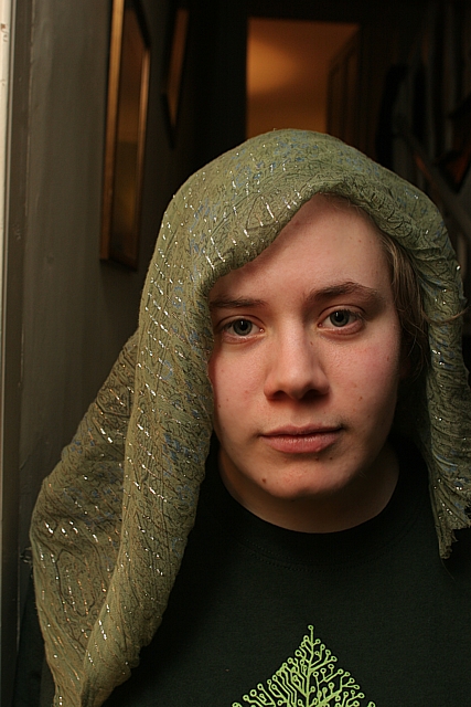The Veil