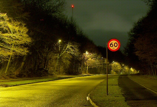 yellow 1.jpg
