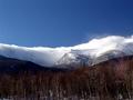 DSC01956_640.jpg
