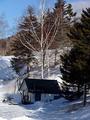 Cabin In Winter