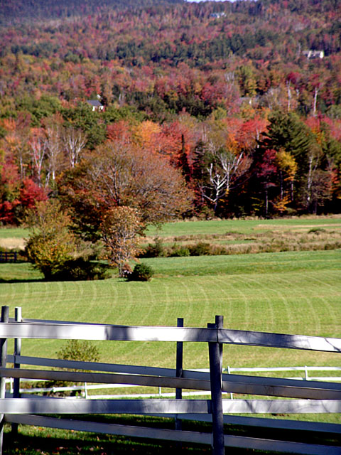 Jackson Field #128