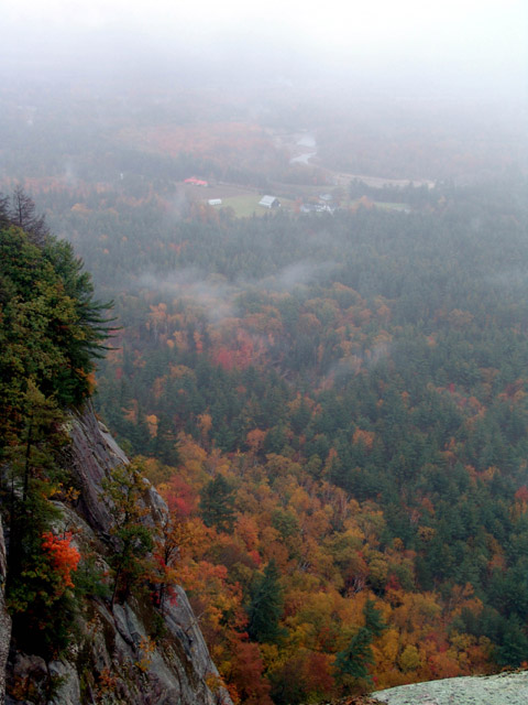 Foggy Day In The Valley