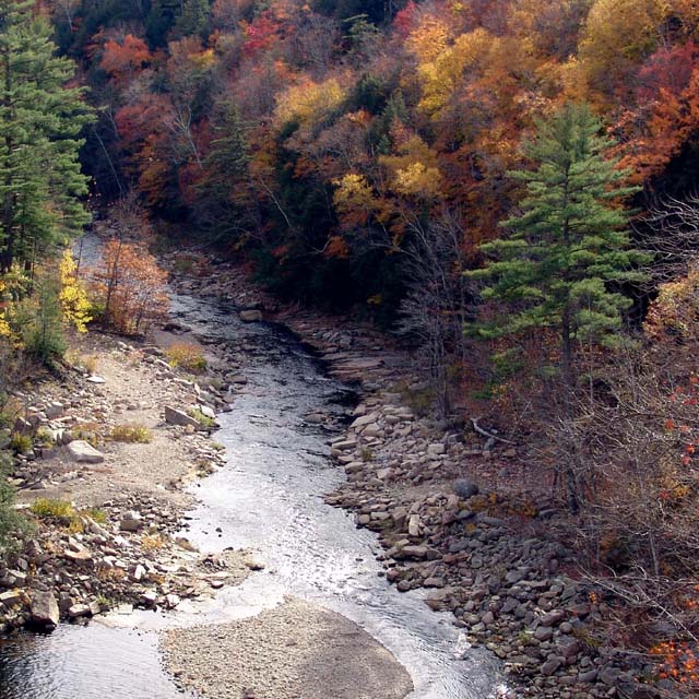 Above The Falls #580