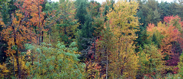 DSC04279_640.jpg