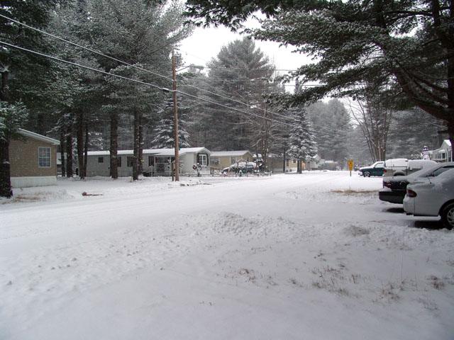DSC04701_Out.JPG
