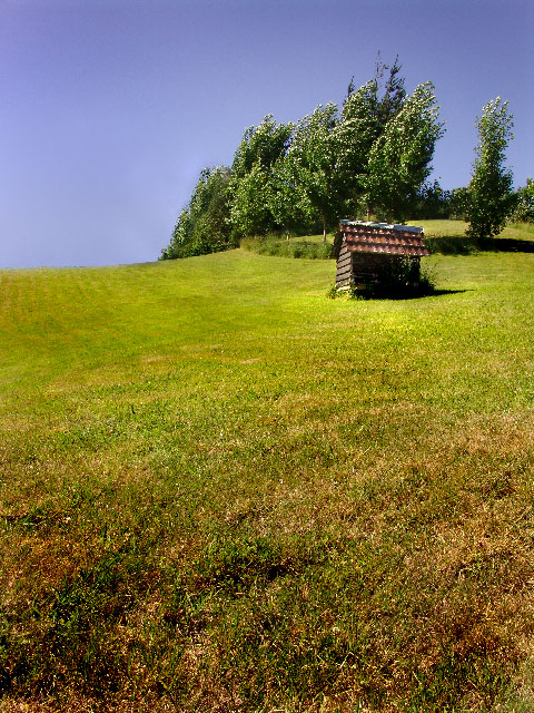 Hut on a Hill