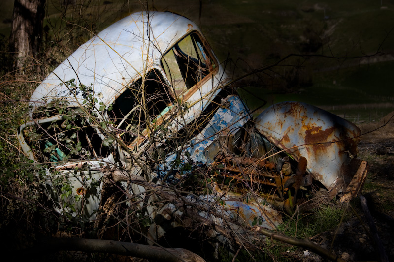 Swallowed old