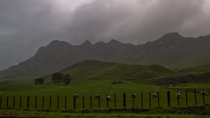 Te Mata Peak