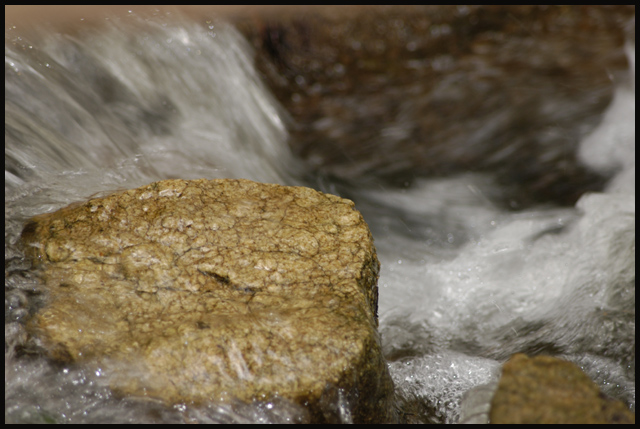 Rock Steady