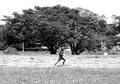 African kid running