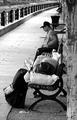 IMG_3276 - Loyalty.jpg