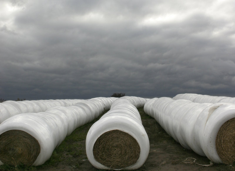 IMG_4119 - Wrapped Bales.jpg