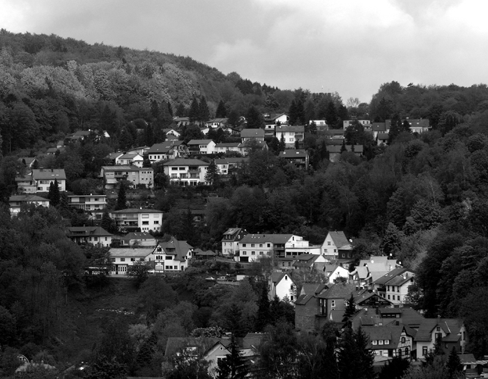 IMG_7394 - b&w - small.jpg