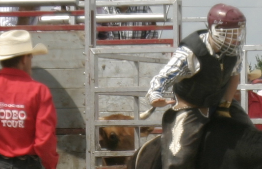 IMG_0282 - 100% crop test.jpg