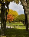 Fall Begins