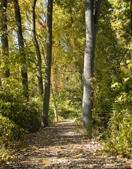 Trail Head