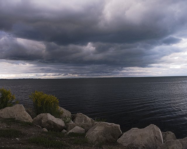 Somber Shoreline