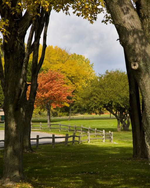 Fall Begins