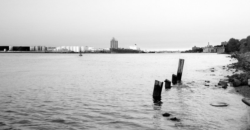 bay.jpg