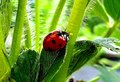 IMG_20190704_085739_586