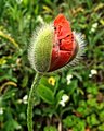 IMG_20190704_085847_291