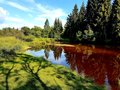 Shadows over the wetlands