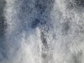 DSC00084