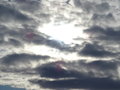 DSC00055