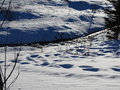 DSC00078