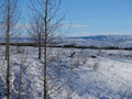 DSC00079