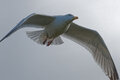 081:365 flight