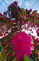 127:365 blooming marvellous